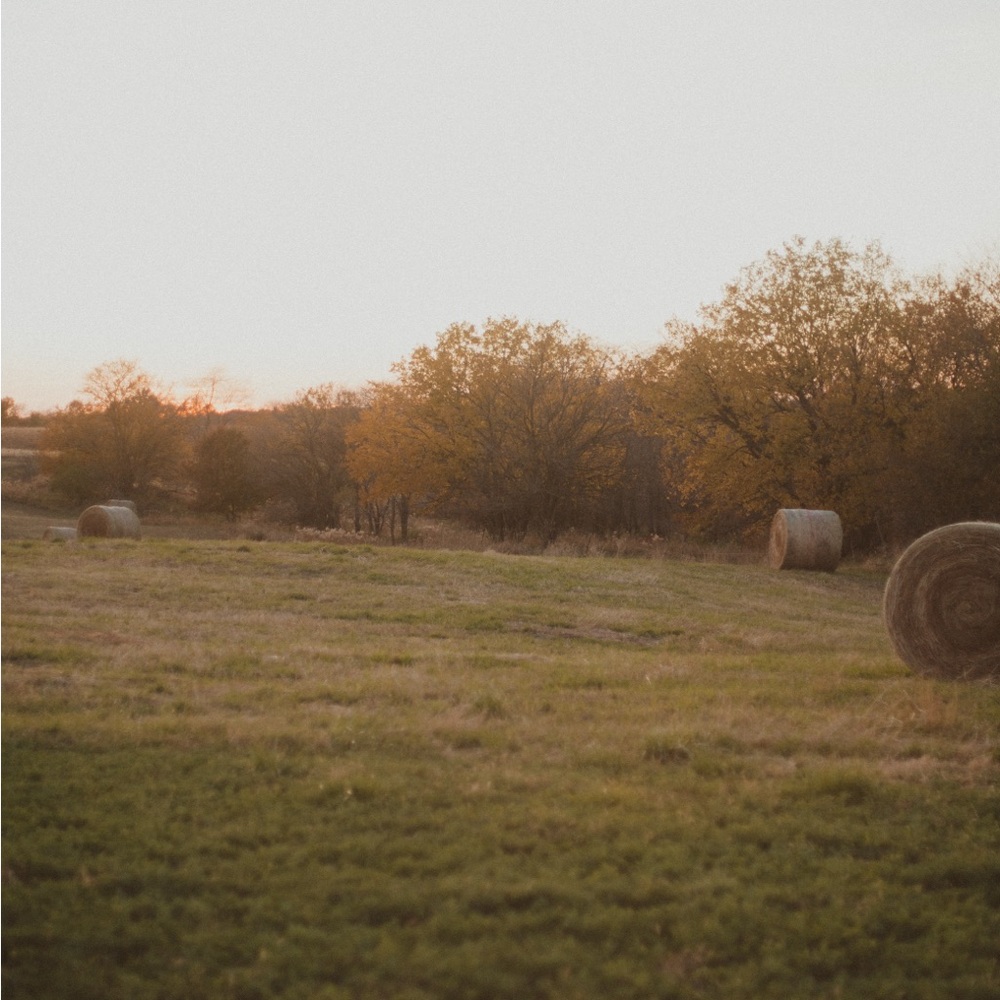 Meet your Posher, Tasha